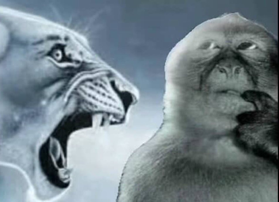 Algum marvete de São Roque quis hackear minha conta aqui no X.

Só pra dizer que ninguém tomba um dcnauta tão fácil assim, principalmente um dcnauta que já levou tombo muitas vezes.