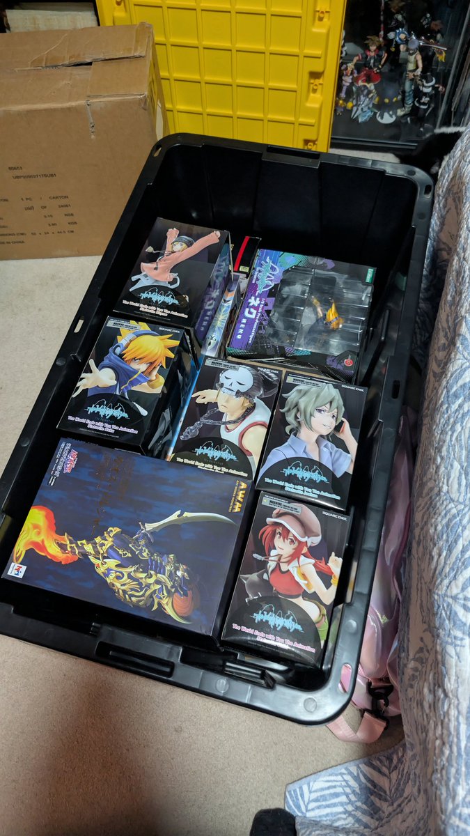 Nothing feels greater than finding a box that fits the exact shape you need