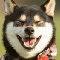 nikai45's tweet photo. @shuki_stsn とびきりの笑顔。
めっちゃ笑てるやろ～🤣 https://t.co/EqAsaZehsT