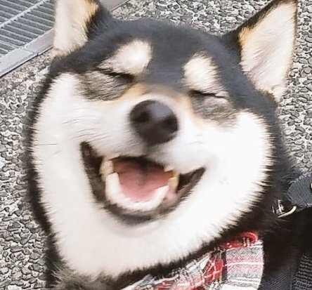 <a href="/shuki_stsn/">STSN</a> とびきりの笑顔。
めっちゃ笑てるやろ～🤣