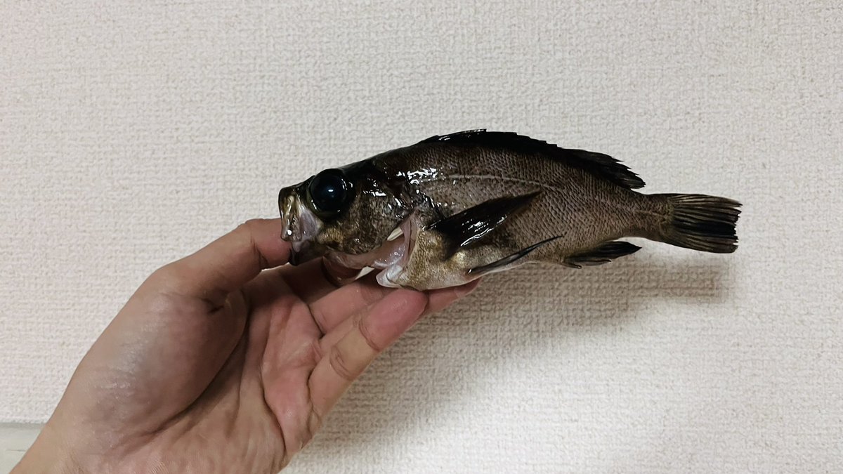 Ryunosuke Ota tweet media