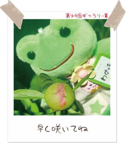 かえるのピクルス/pickles the frog (@picklesthefrog6) / Posts / X