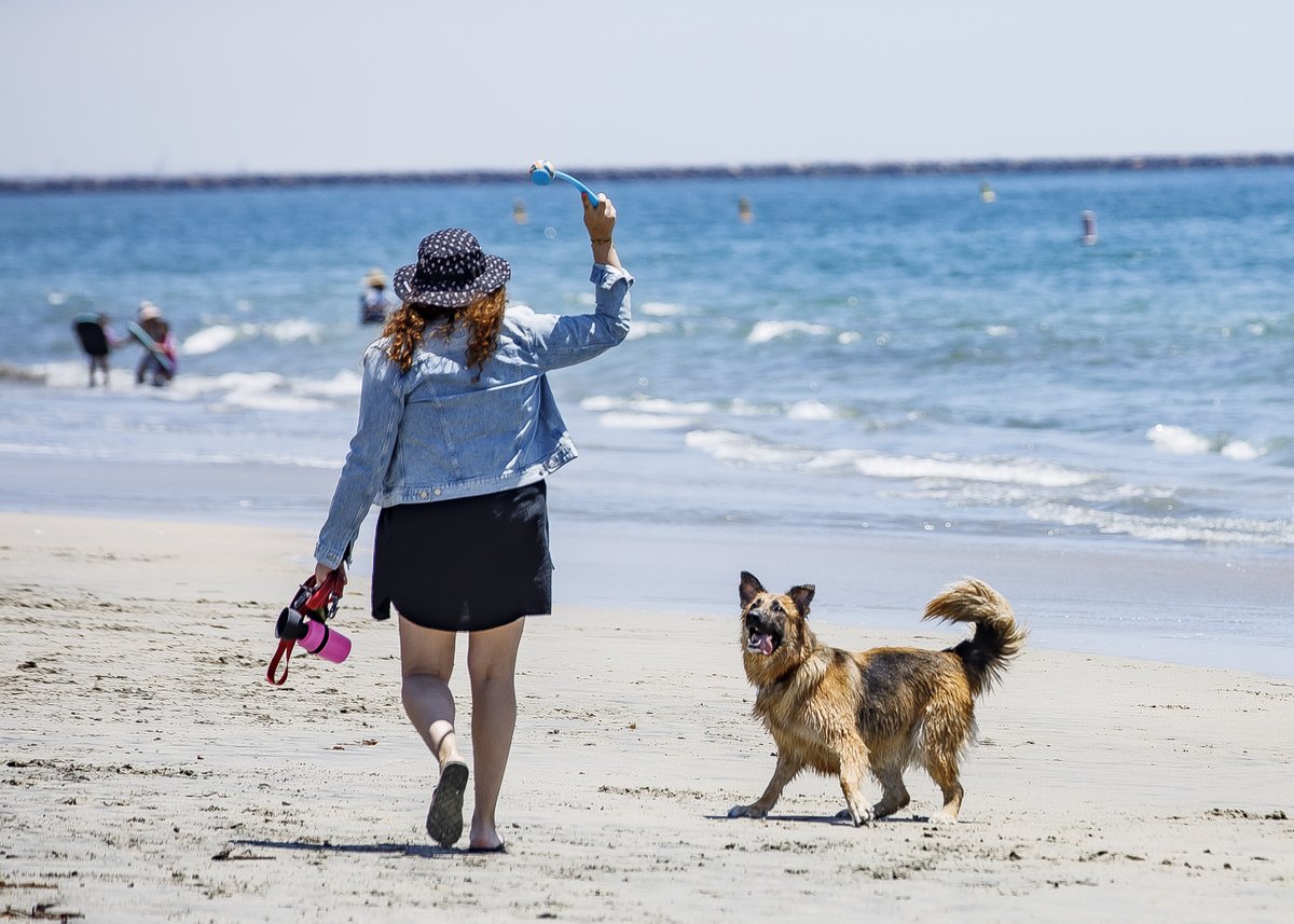 LB Public Works tweet media