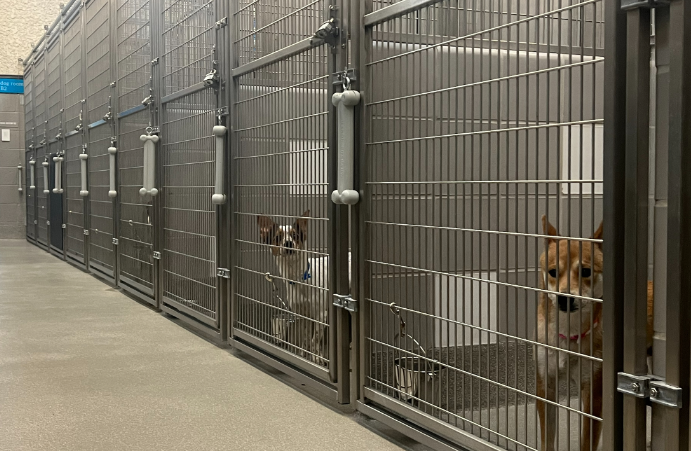 ClarkCountyNV's tweet photo. #ClarkCounty is moving ahead with plans to build a supplemental animal shelter. Commissioners have voted to begin the design process.

The supplemental shelter would go near Tropicana and 215. The facility's capacity would be about 650 animals. Targeted opening is August 2028. https://t.co/sgRsW6fted