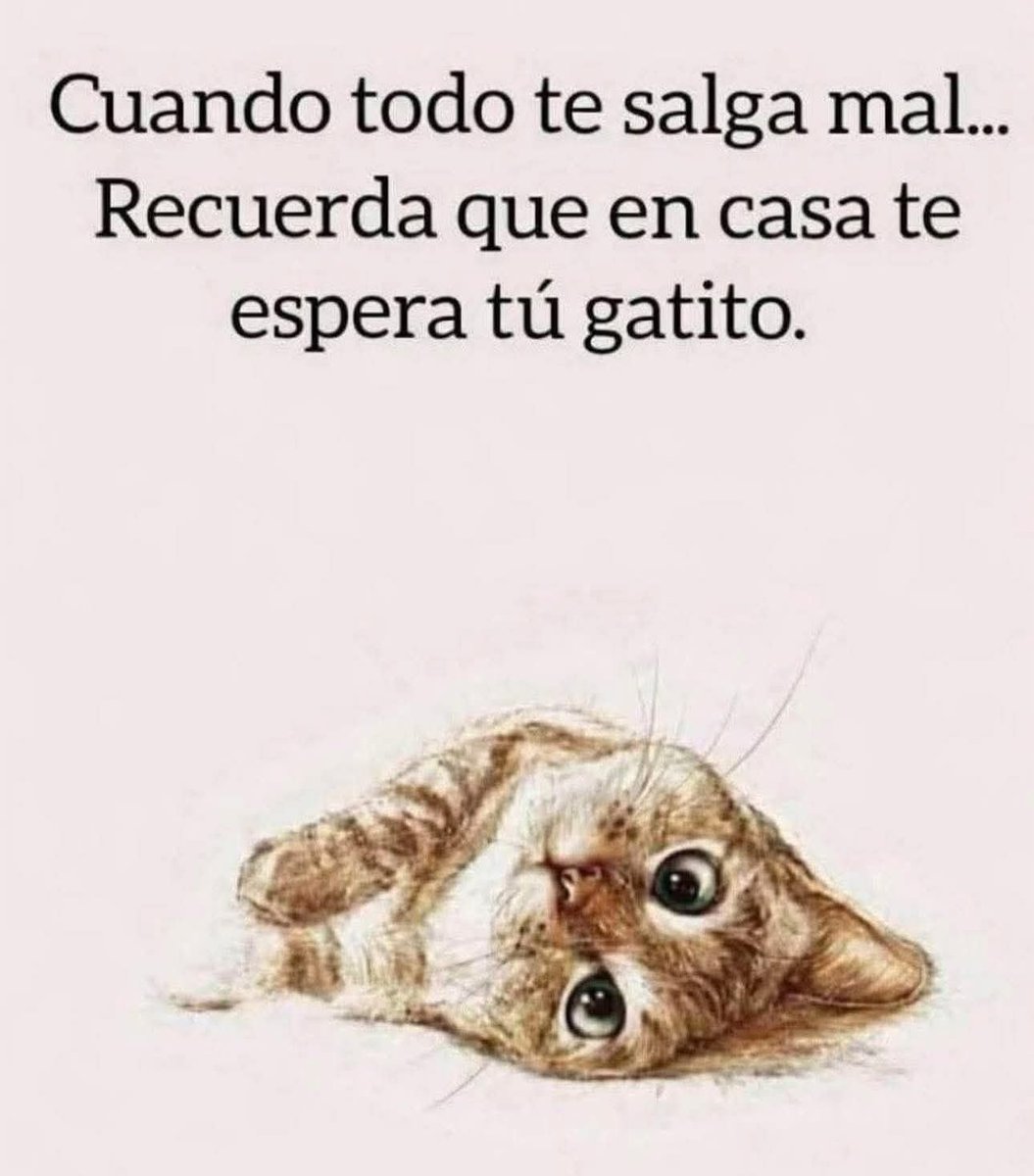 RincnCuriosoo's tweet image. Un naranjoso.