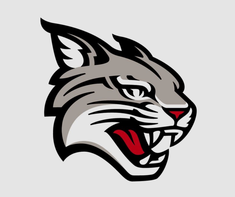 quinn60091's tweet photo. After a great conversation with @CoachLukeJenks, I am blessed to receive a second division 1 offer from Davidson College!!! 
Offered as a Tight End 

@FBIGNATIUS @WildcatRecruit @CoachTomKaufman @gobigrecruiting @Bryan_Ault https://t.co/fwpbIVADYT