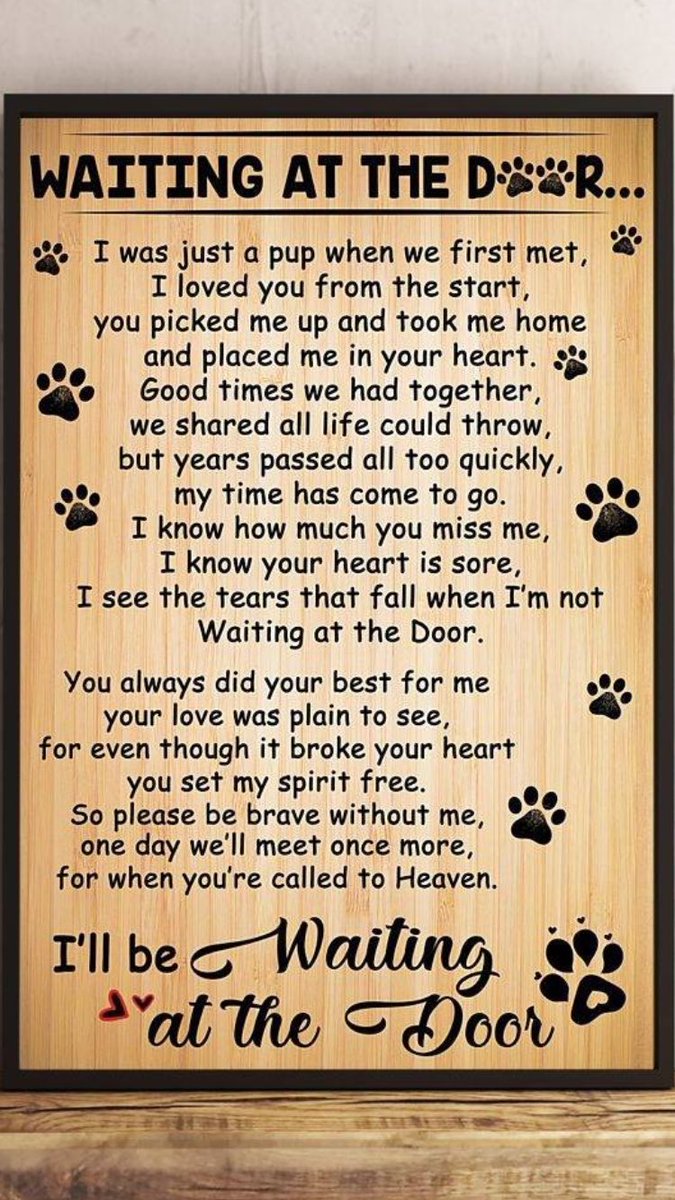 heather_dandy's tweet photo. @mattvanswol So sorry for the loss of your beloved Winston.🙏 https://t.co/Hr039foPLo