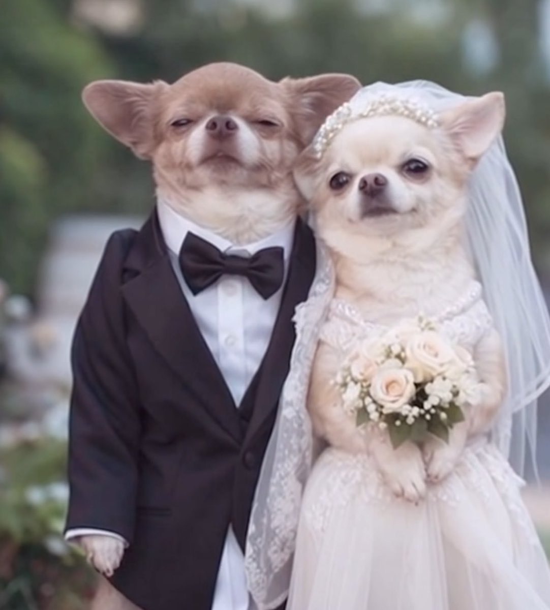 gottaeng777's tweet image. 저는 모든 블루레이디들과 트친을 하고싶어요..🫶 천천히 걸려도 팔로잉 목록 보면서 다 찾아가니까 걱정말고 저랑 친구해요 ‼️가정방문 사랑러라 자주자주 찾아간답니다 ✨️  #블루레이디 #블루레이디_트친소 #블루레이디트친소