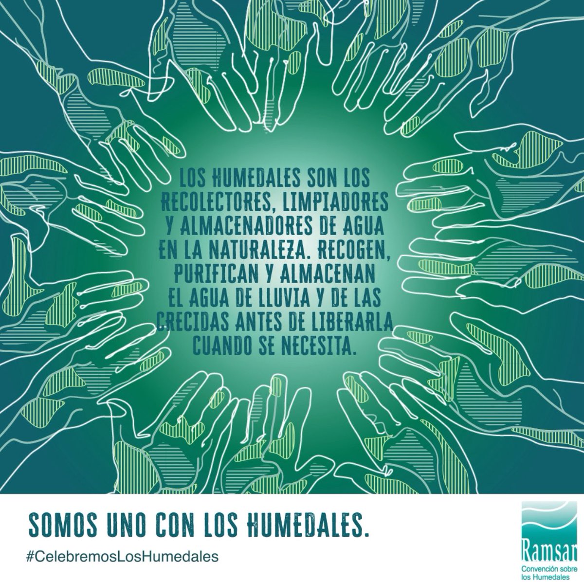 TecNM_MX's tweet photo. #TecNMenAcción 
El agua de nuestros humedales es uno de los recursos naturales más vitales que tenemos.

El agua, los humedales y la vida son inseparables.  
 
#ExcelenciaEnEducaciónTecnológica
#TodosSomosTecNM
#SomosTecNM https://t.co/CwtWTp9hnC