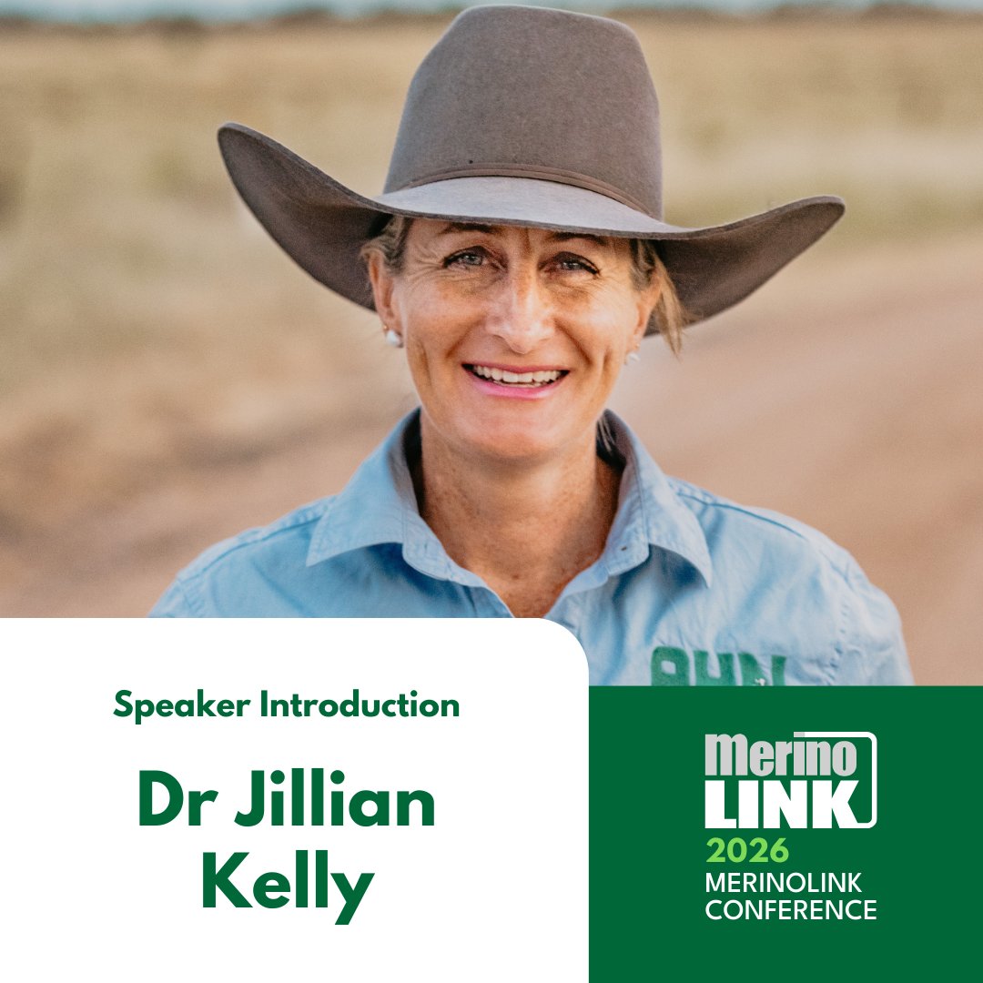 MerinoLink Limited tweet media