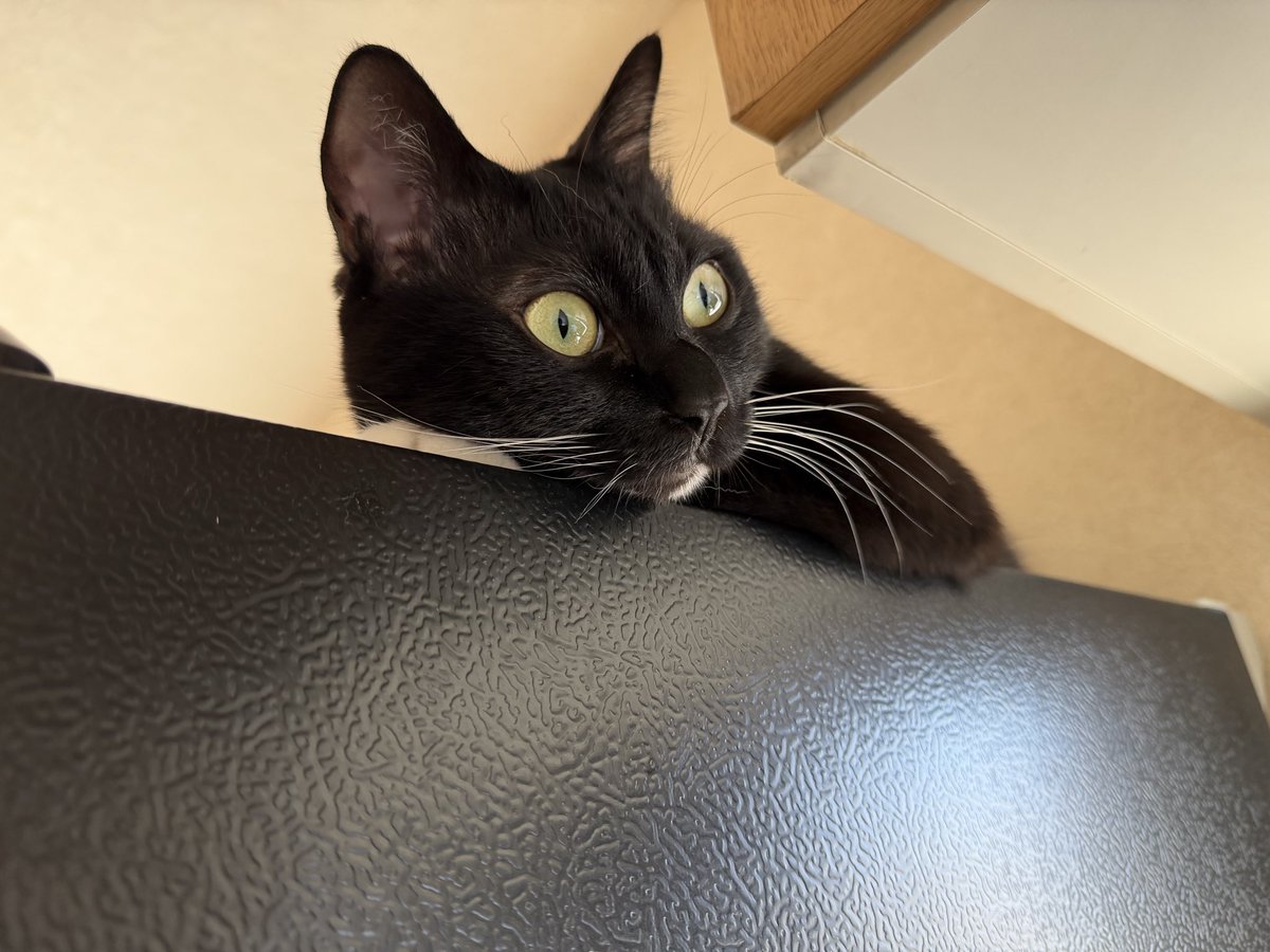 めぐみ♂ (@0625megu_mi) / Posts / X