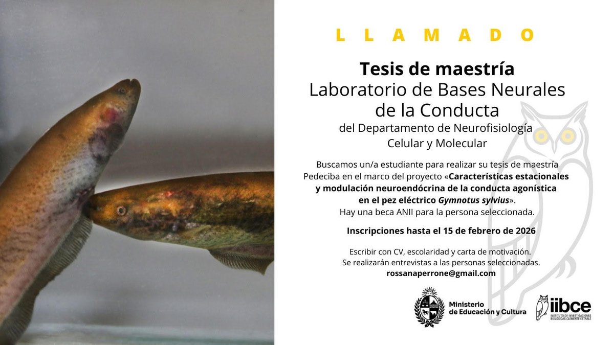 Bases Neurales de la Conducta Lab tweet media