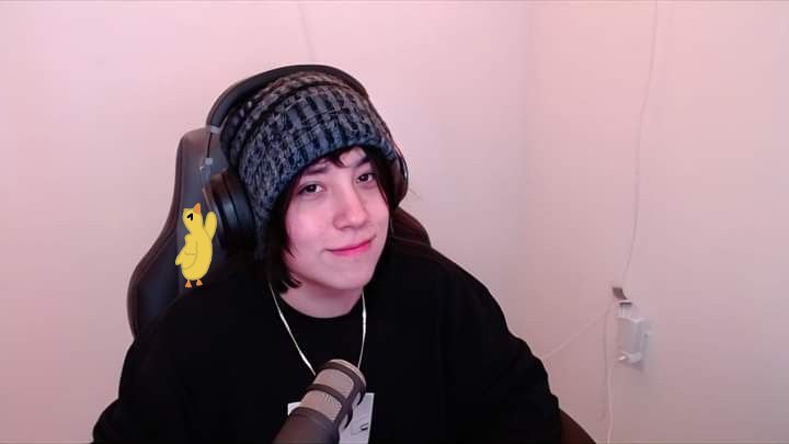 Hagamos un hilo poniendo un patito al rededor de quackity !!