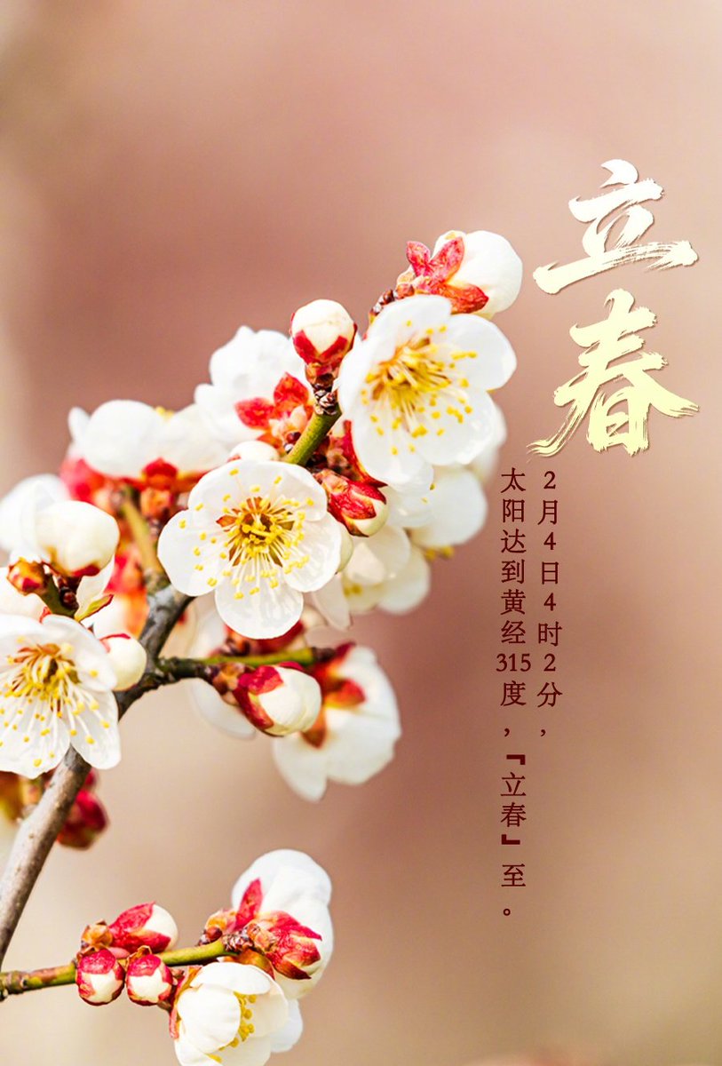 飞来麦浪 tweet media