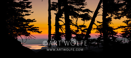 artwolfe's tweet photo. #TuesdayTree If you love trees, I have some great workshops coming up this year! https://t.co/V65rU88oPo
#ExploreCreateInspire #ArtWolfe #TravelTuesday #lifelonglearning #transformationaltravel #potd #Borneo #Namibia #NewZealand #washingtonstate https://t.co/VD09Ye6QwC