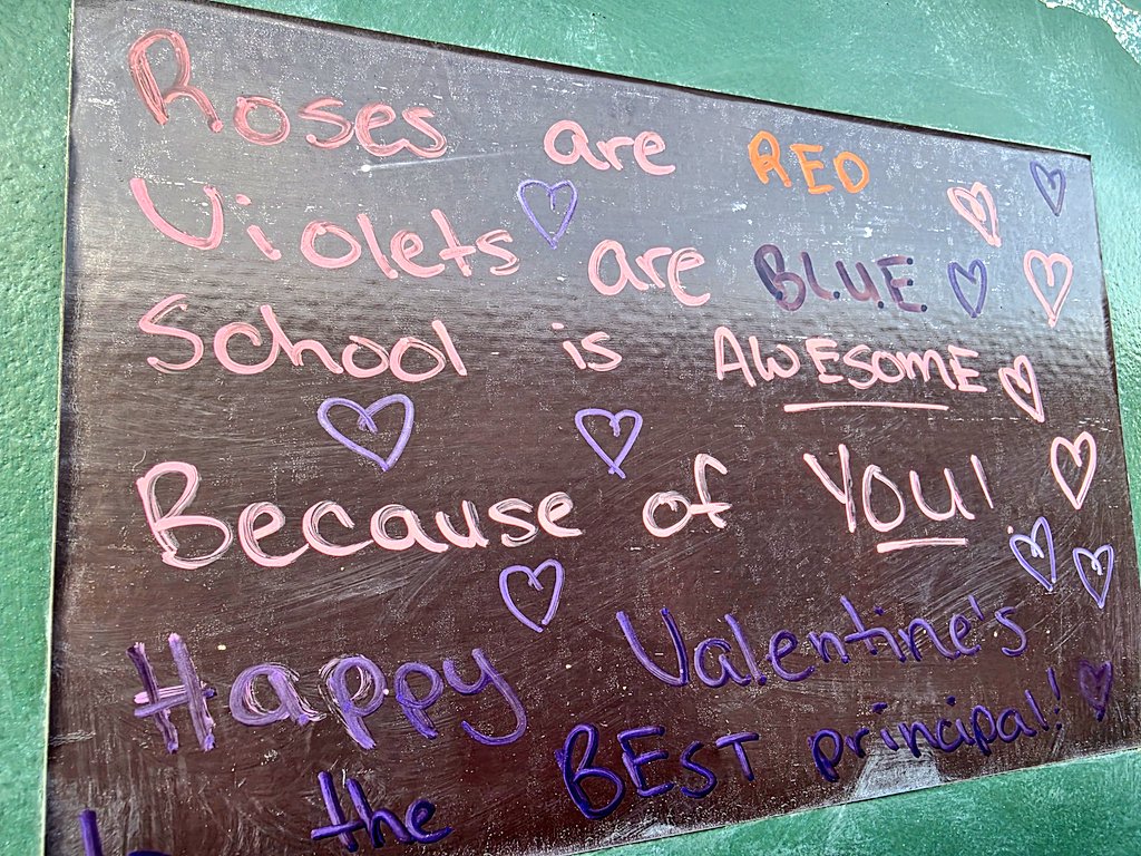 Claudia Canava-Flores tweet media