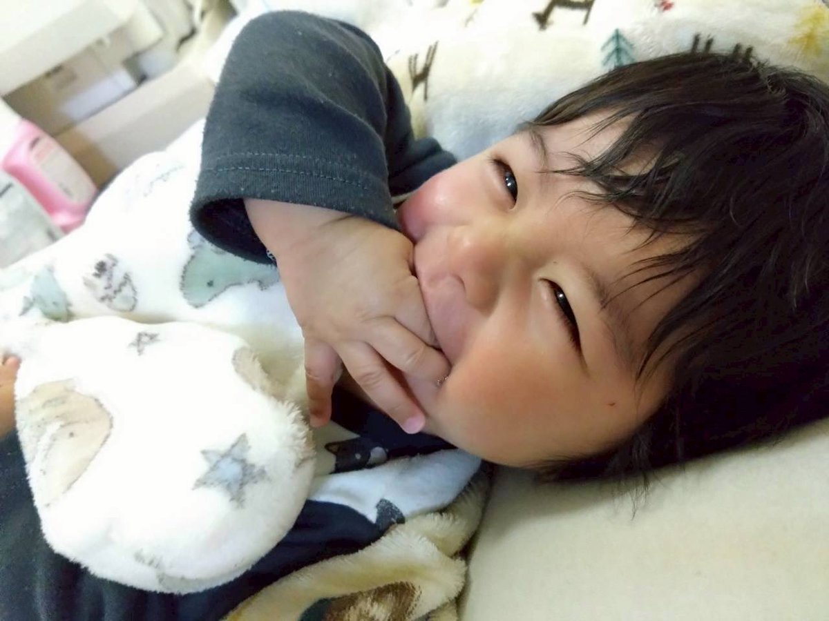 DAIBUSOU's tweet image. ベビ丸と朝からキャッキャっ言いながら一緒に遊んでます٩( 'ω' )و

こんな髪生えてるけどまだ4ヶ月なのです👶
#ベビ丸冒険記