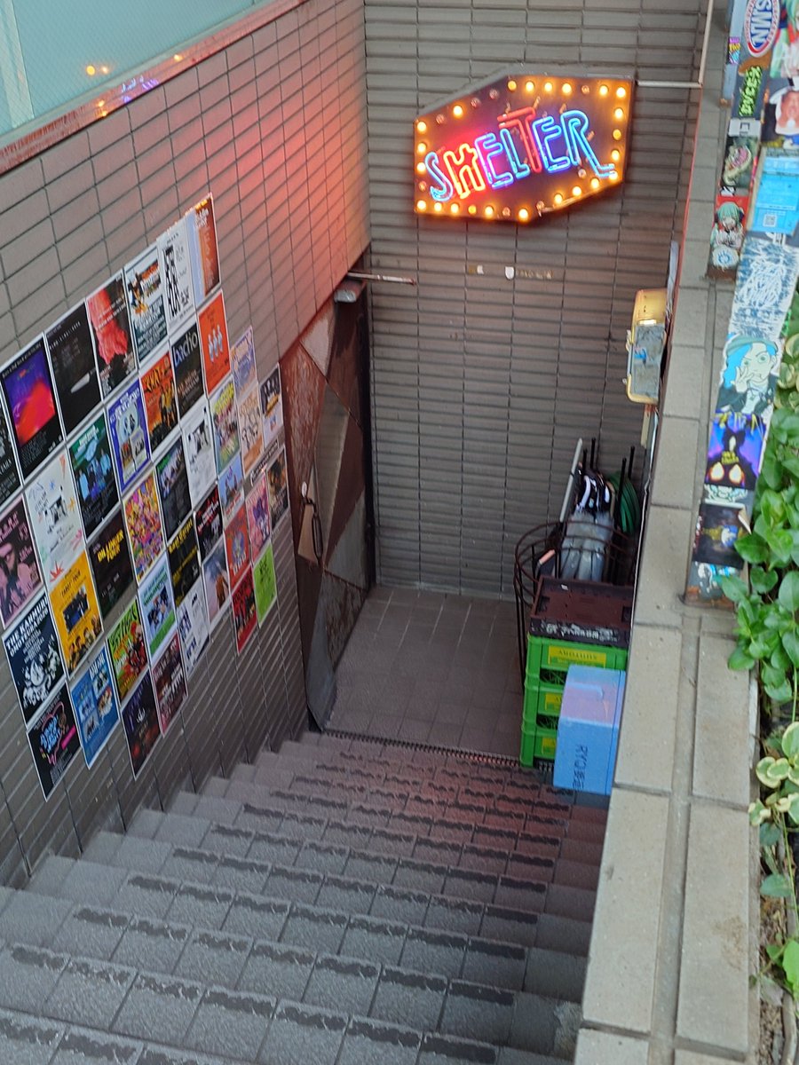 end2122's tweet photo. 昨晩のライブ、下北沢SHELTERはぼっち・ざ・ろっく！の聖地だった。後ろ、かつデカい人が多かったのであまり見えなかったけど、十分に楽しめた。
#MOS　
#Lotta
#AMI　
#Miyu　
#Arna https://t.co/6iJaQj1o4c