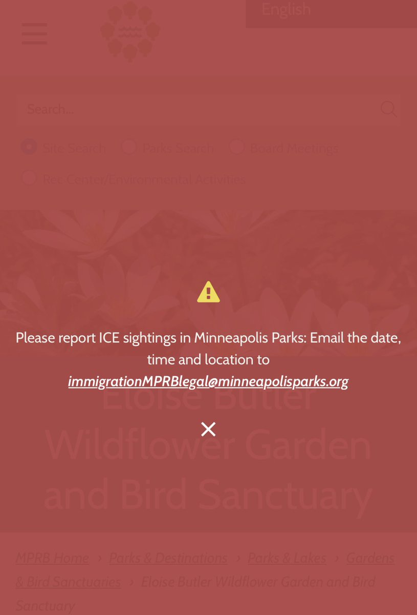 Liz Collin tweet media