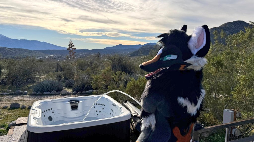 Cross 🔜LVFC tweet media