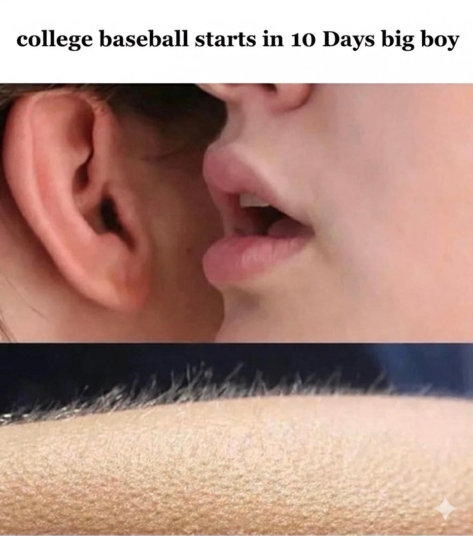 Showcase and College Baseball tweet media