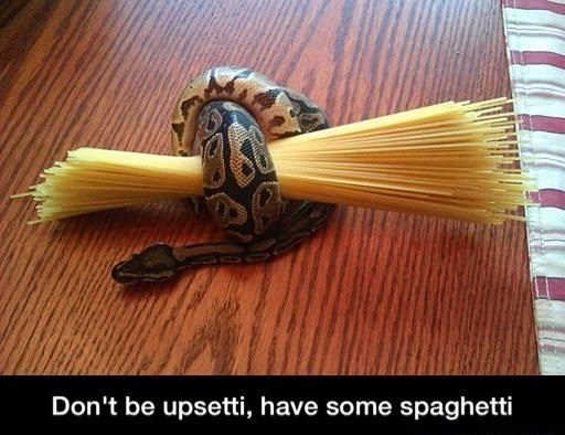 WholesomeMeme's tweet photo. https://t.co/Kx5EYsfiHT