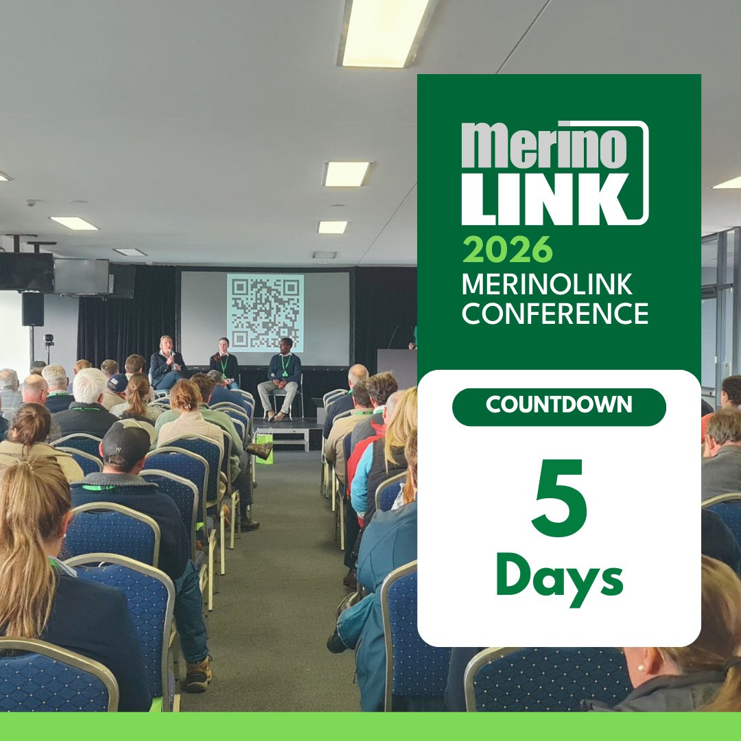 MerinoLink Limited tweet media