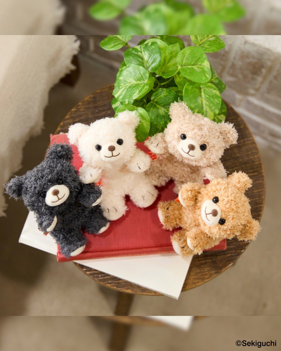 セキグチ公式オンラインショップ (@sekiguchi1918) / Posts / X