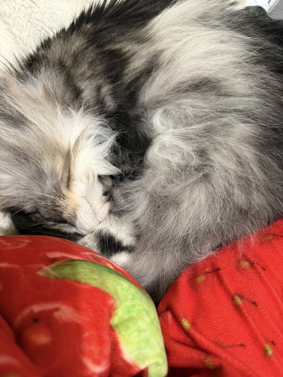 伊藤カイジ系［智也］ (@0522Kaiji) / Posts / X