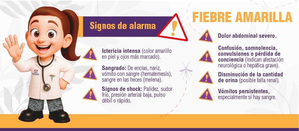 🦟 La fiebre amarilla se puede prevenir. Vacunarte a tiempo, usar repelente, eliminar criaderos de mosquitos y buscar atención médica ante fiebre alta o malestar general puede marcar la diferencia.
La prevención salva vidas. 💛

#Salud #Prevención #FiebreAmarilla