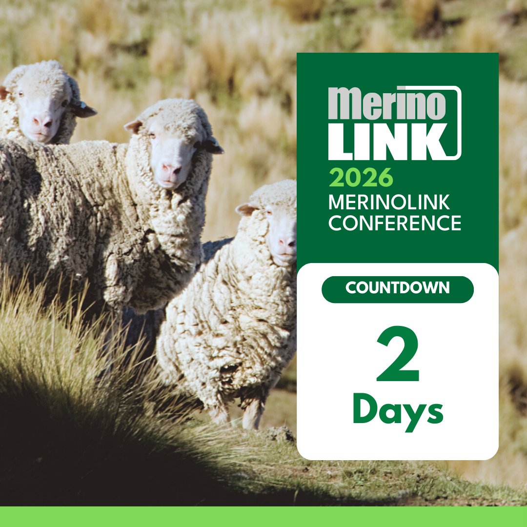 MerinoLink Limited tweet media