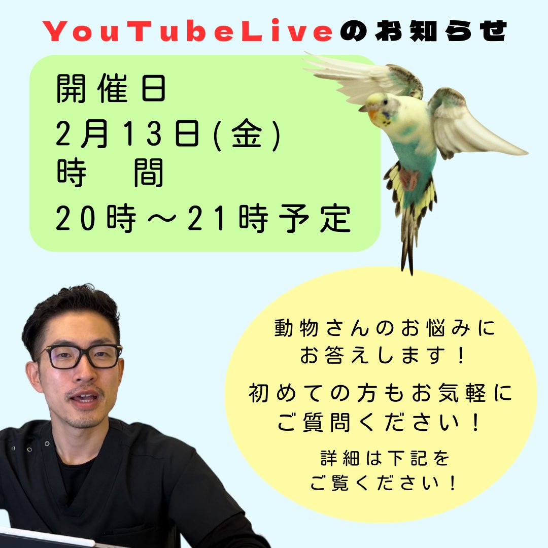 2月のYouTubeLiveのお知らせです📢    
配信中にいただいた全てのご質問にお答えしております。  
 初めての方も、どうぞお気軽にご質問ください。   
みなさまのご参加を心よりお待ちしております。  ▼YouTubeチャンネル youtube.com/@MasanomoriAH