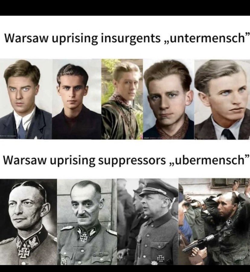 up_most8's tweet photo. @Hardik1932 @FatLeon93 @qualitylearnc @royalserf Give it 20 years and Poles will rule your masters nation. 80 iq germanic negroes will make excellent serfs. https://t.co/ReYDPzpG74