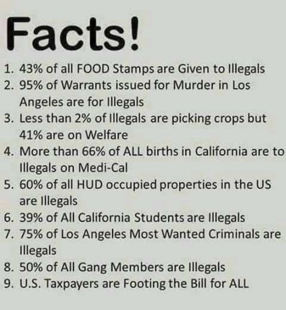 Harold Haller tweet media