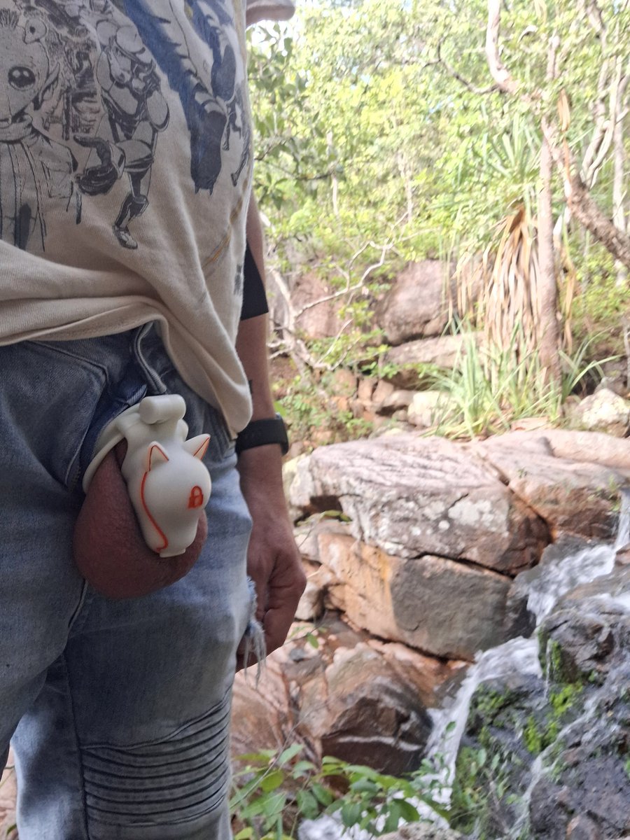 Patrick the shiny pup tweet media