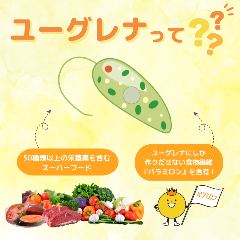 micarea_jp's tweet photo. ✎︎______________＿＿
 ユーグレナって知ってる？

    和名では「ミドリムシ」ですが
虫ではないんです！
 
    昆布やわかめと同じ藻の仲間で
50種類以上の栄養を含む
スーパーフード✨
 
    さらにパラミロンという
ユーグレナにしか作り出せない
食物繊維も含む注目の健康素材です‼️ https://t.co/qBBf4aWedC
