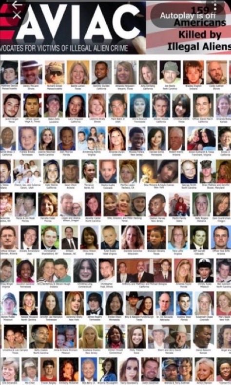 Harold Haller tweet media