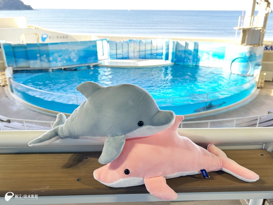 行かなくちゃあ🐬