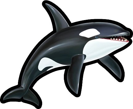 Fun Facts about Orcas is that they hate two things:

1. Billionaires and their yachts
2. Sonic the Hedgehog