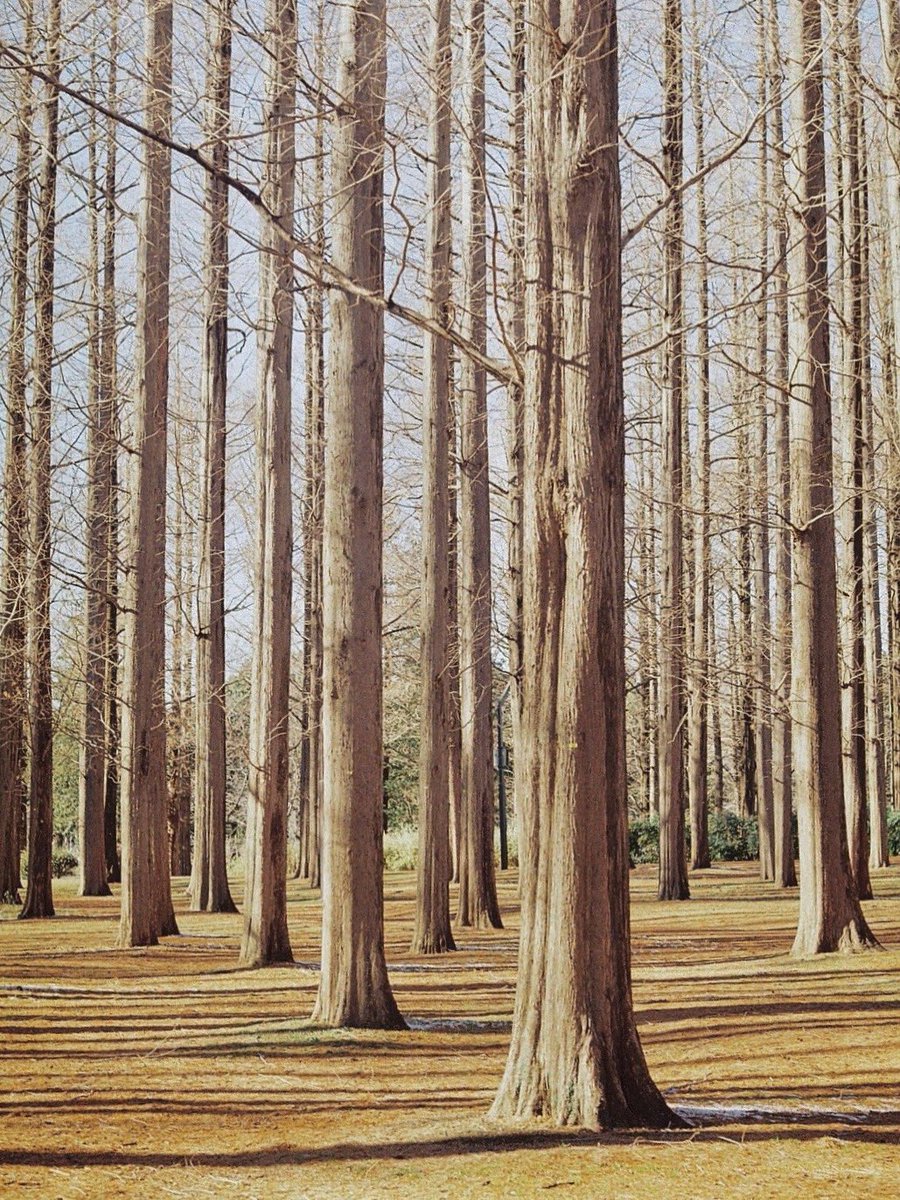 black_cat_fly's tweet image. 