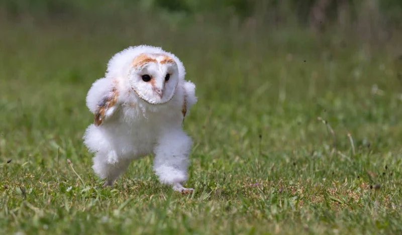 taehonest's tweet image. ﾃｯﾎﾃｯﾎ