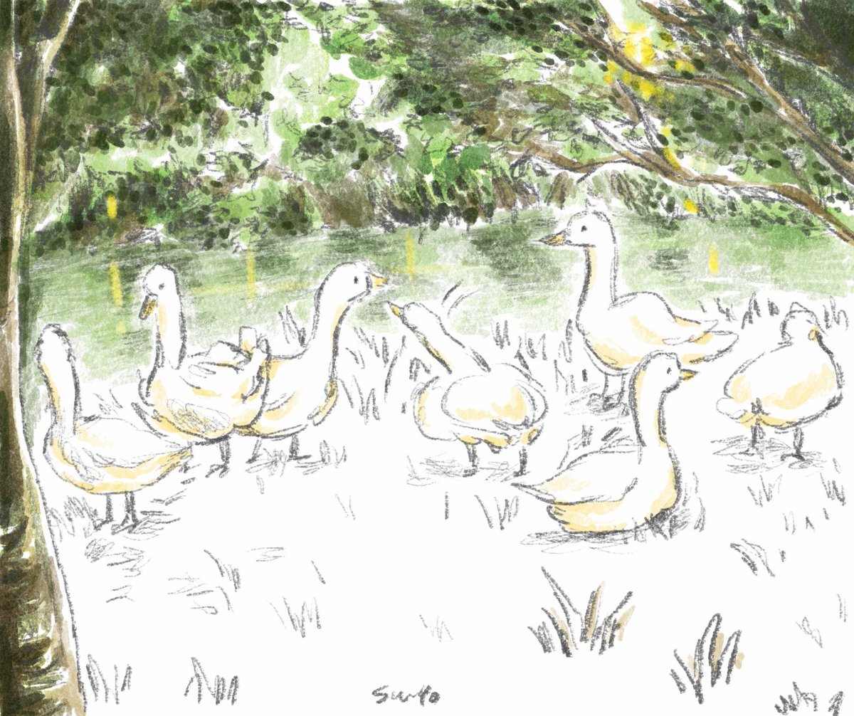 Insun Choi tweet media