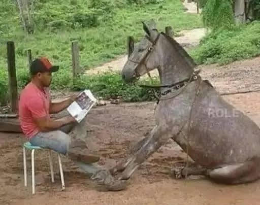 eomitas's tweet image. Thomas Hamence estudando a próxima mudança na Staff da paiN Gaming