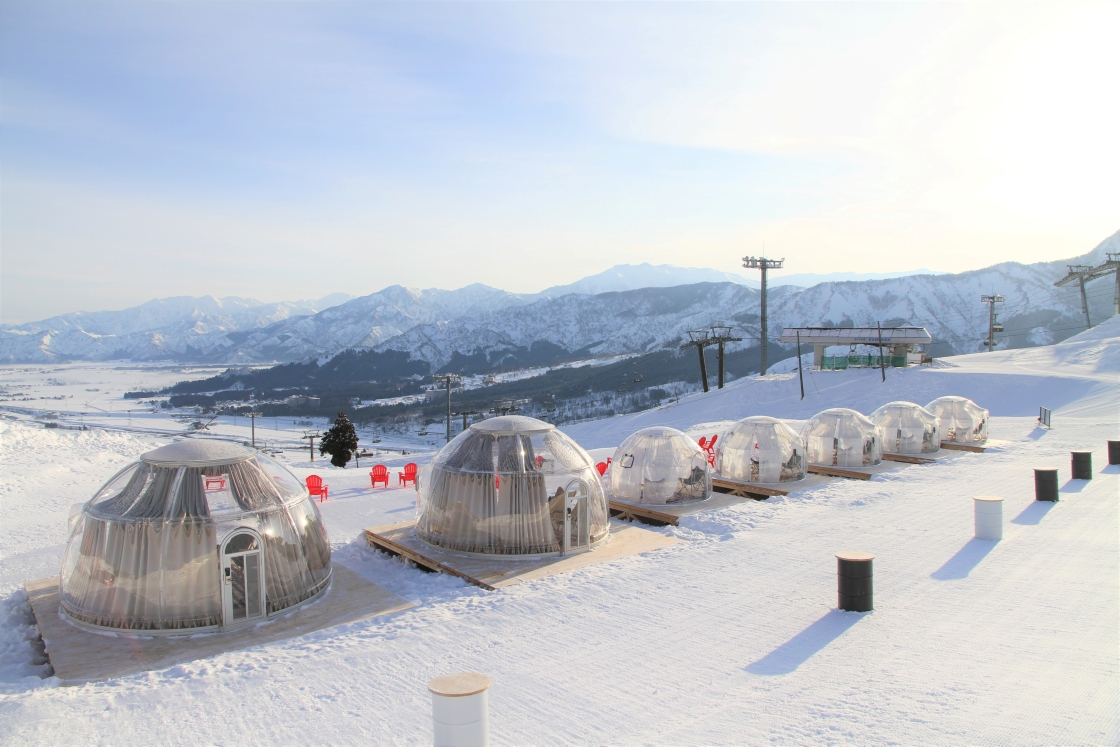 Japan is famous for its fluffy, soft snow, but did you know that there's a direct train from Tokyo (under 90 min) to the winter wonderland of Yuzawa Kogen? ❄️❄️
>> japankuru.com/en/tour/254901/

#pr #yuzawa