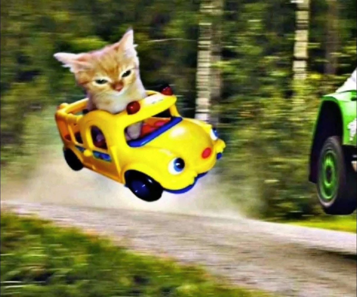 El Guarromántico tweet media