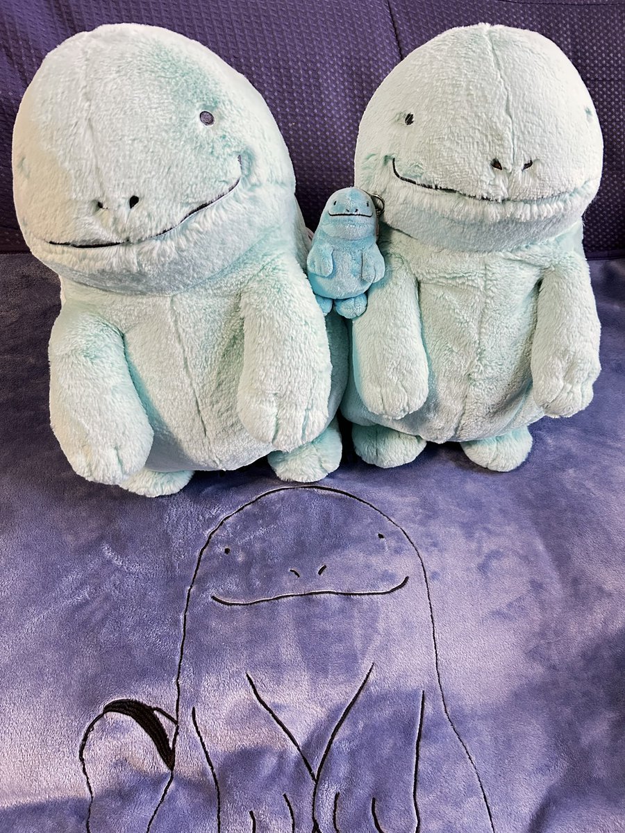 おはようございます☀️

昨日はフォロワーさんたちの節分の様子を我が家のふわぬおちゃんたちと楽しく見させて頂きました😊

今日と明日はお仕事お休みなのでお家でまったり過ごしますぬ(˙𐃷˙)

韓国のお土産を頂きました🩵
いつもお気遣いありがとうございます❣️