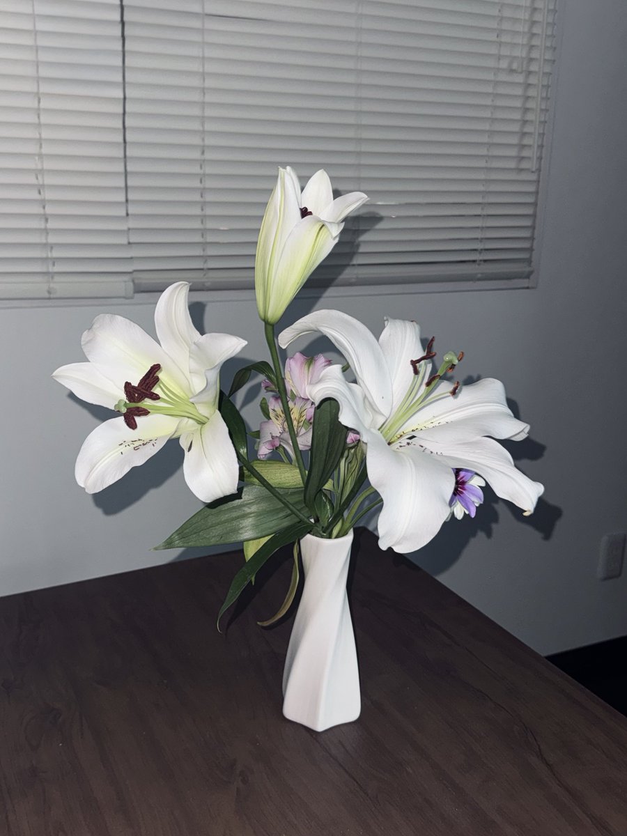 もらった花束に入っていた百合が開花したので、しばらく巨大な花と同棲することになった