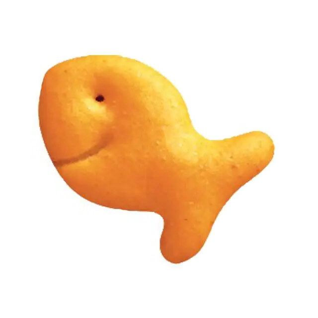 he looks like a goldfish cracker here aww