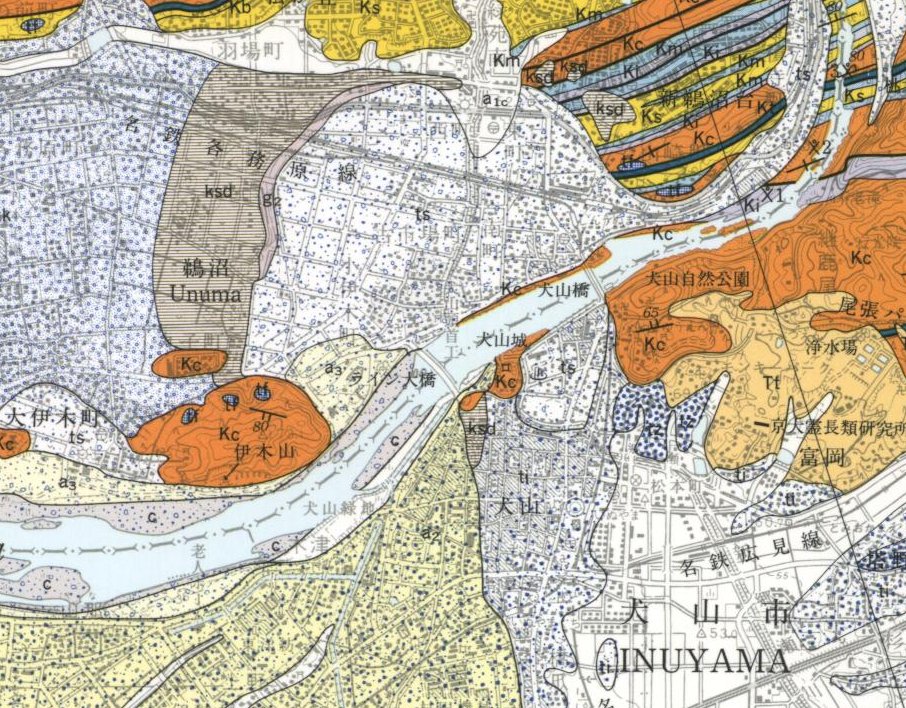 InterRad XV ＜放散虫情報＞ tweet media