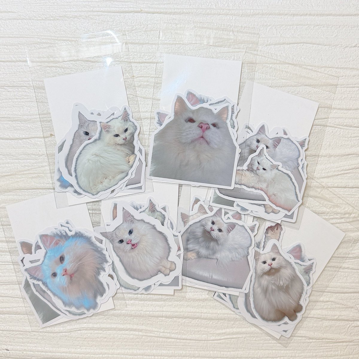 取り扱い注意のカードも 入れて完成👏 これなら、せがーれも手売り